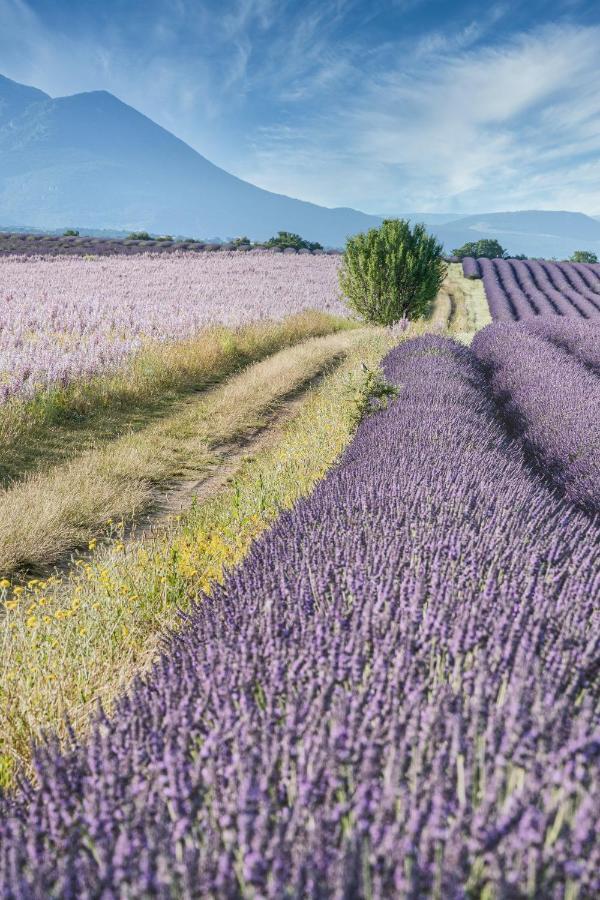 Gite Le Val Zen Valaurie - Drome Provencale Kültér fotó